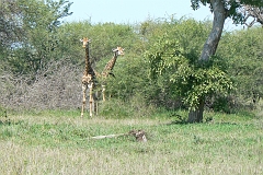 0203-Reis Zuid-Afrika2007